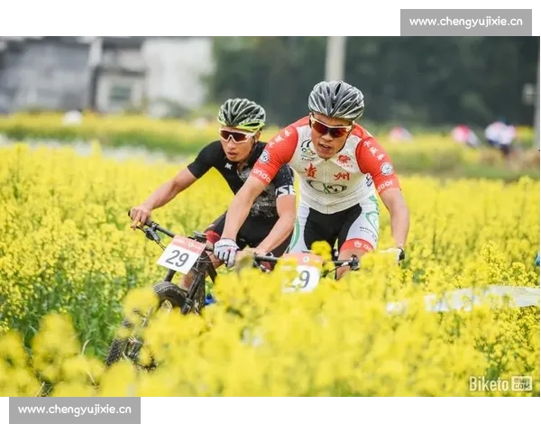 体育资讯手机版全新升级赛事数据视频社区一站掌握精彩不停歇随时看