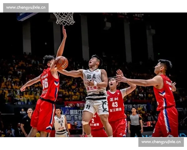 CBA官方版全新升级，带你畅享更精彩的篮球赛事与互动体验